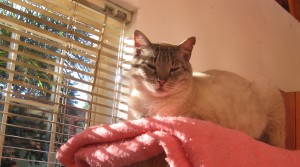 2008-03-20Picture 005