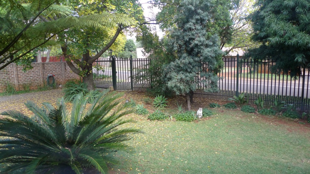 P1020766
