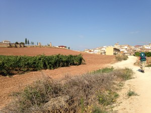 2013-08-29-IMG_0529