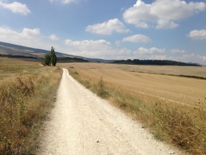 2013-08-28-IMG_0448