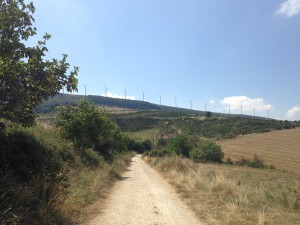 2013-08-28-IMG_0467