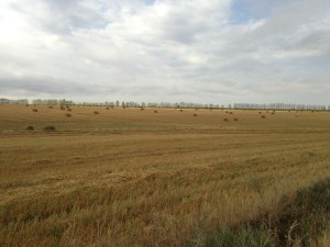 Carrion de los Condes