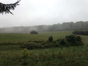 2013-08-26-IMG_0398