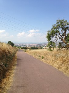 2013-08-31-IMG_0615