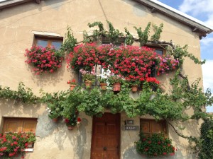 2013-08-31-IMG_0617