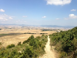 2013-08-28-IMG_0468