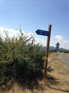 2013-08-28-IMG_0487