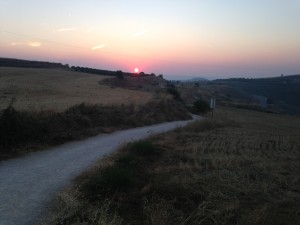2013-08-31-IMG_0608