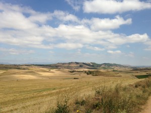 2013-09-01-IMG_0650