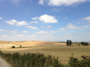 2013-09-01-IMG_0653