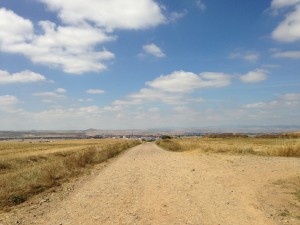 IMG_0658