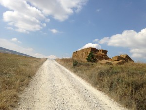 2013-08-28-IMG_0443