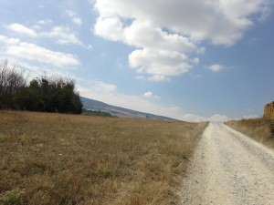 2013-08-28-IMG_0444