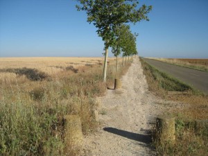 mansillas-de-las-mulas-002