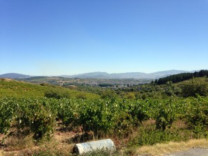 Cacabelos