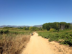 Camponaraya