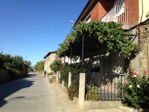 Fuentes nuevas