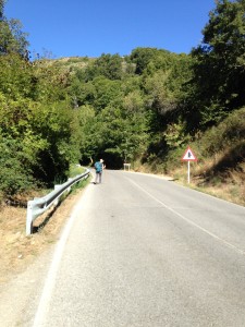 Ruitelan