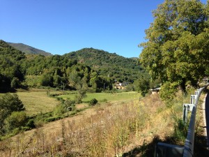 Ruitelan