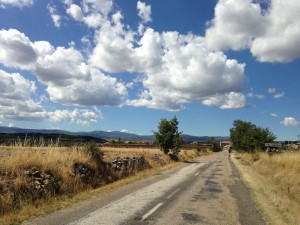El Ganso