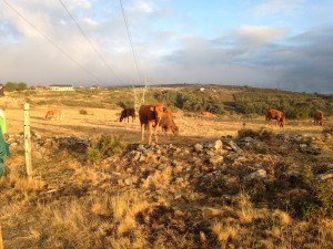 Foncebadon