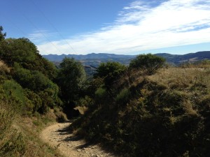 Fonfria