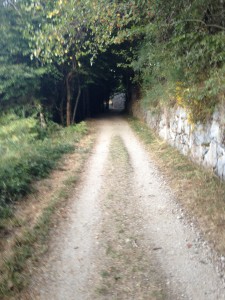 O'Cebreiro
