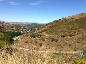 Riego de Ambros2