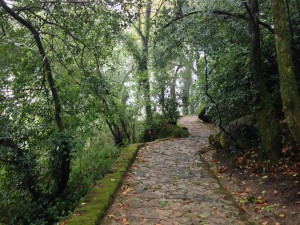 Moorish Castle, Sintra